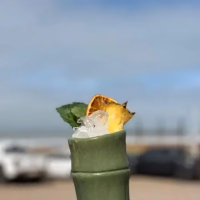 Paradise girls — Tragos de autor